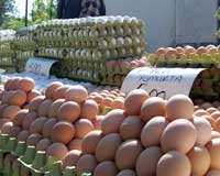 Kahverengi kabuklu yumurta mı daha sağlık, yoksa beyaz mı?