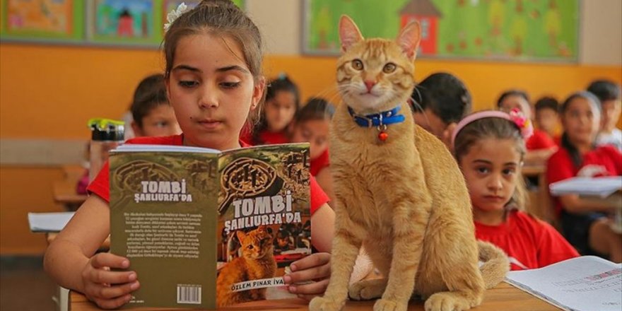 Öğrencilerin sevgilisi 'Tombi' kitap kahramanı oldu