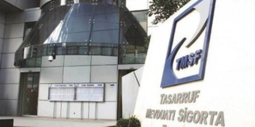 TMSF'den döviz hamlesi!