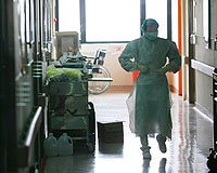 Ankara'da domuz gribi paniği