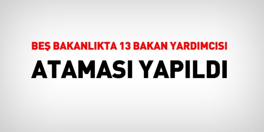 Flaş! 5 bakanlıkta 13 bakan yardımcısı ataması yapıldı
