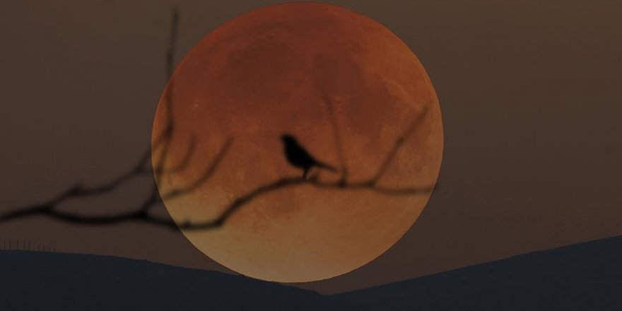 21. yüzyılın en uzun 'Kanlı Ay' tutulması cuma günü yaşanacak