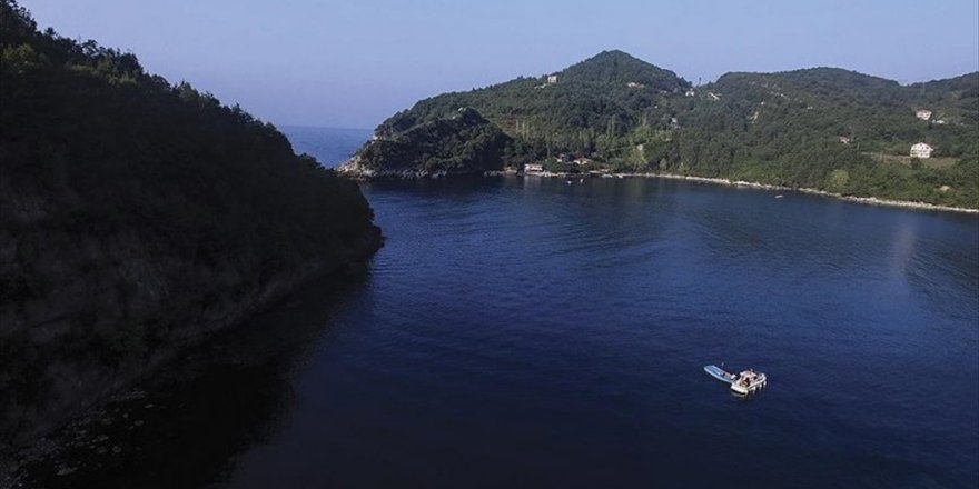 Karadeniz'in doğa harikası koyları ziyaretçilerini bekliyor
