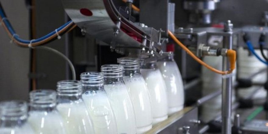 ABD'den süt ürünleri ithal edilecek