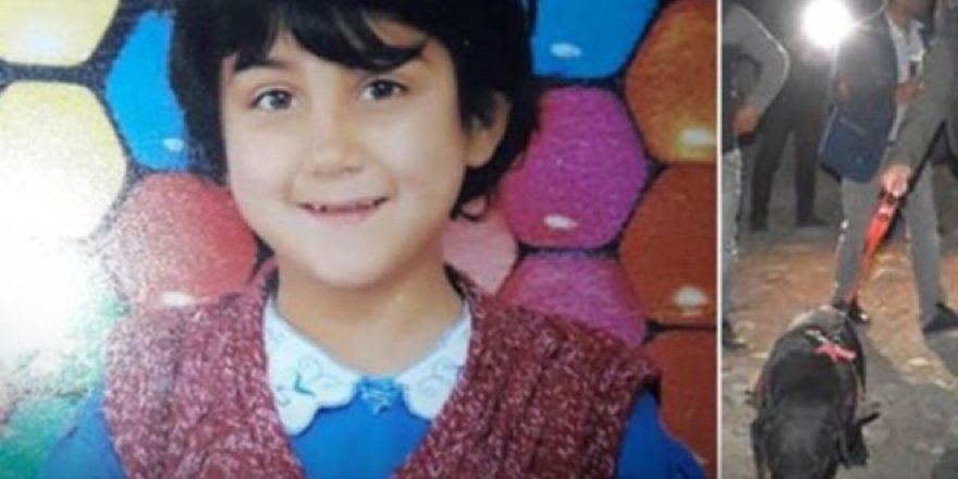 Kars'ta kaybolan Sedanur'un komşusu tutuklandı