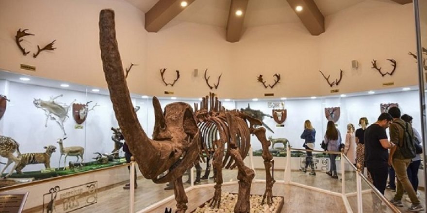 Müzede akademik eğitim