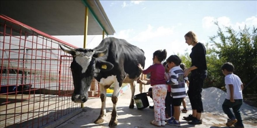 Anaokulunda çiftlik hayatı