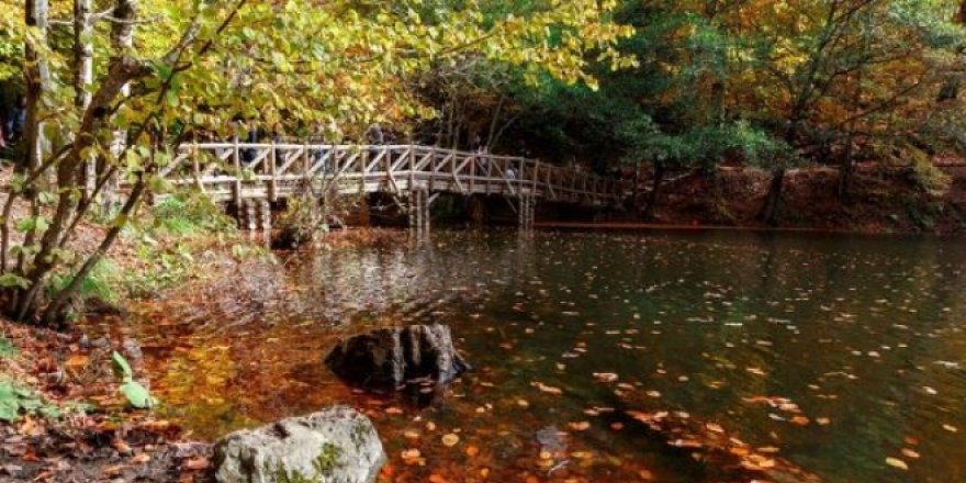 “Güzelliğin sesi kısıktır”