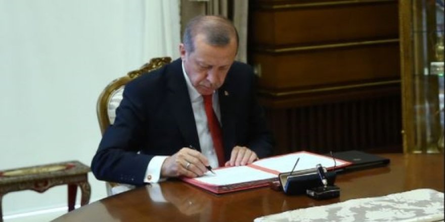 Erdoğan imzaladı... Yeni kurulan üniversitelere kadro