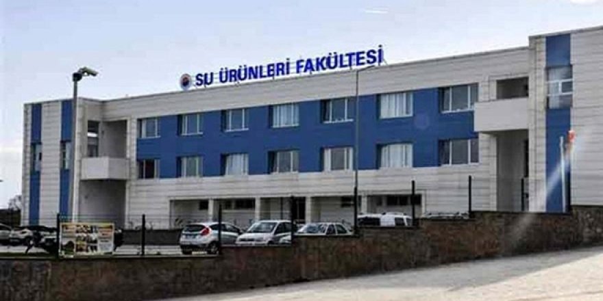 Bu fakültede her öğrenciye 1 profesör düşüyor