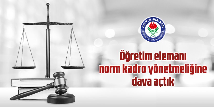 Öğretim elemanı norm kadro yönetmeliğine dava