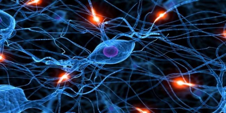 Beyin ve Öğrenme, Uyku ve Hafıza