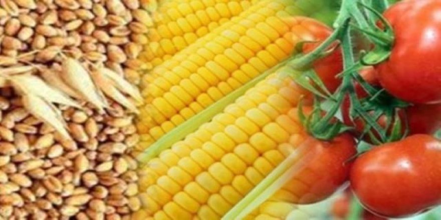 Çok sayıda gıda ürününde ihtalata sıfır vergi