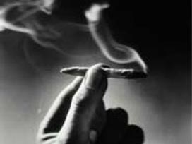 Sigara dumanındaki zehirli madde sayısı