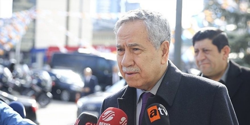 Arınç: Erdoğan'a gidip 'bana görev verin' dedim