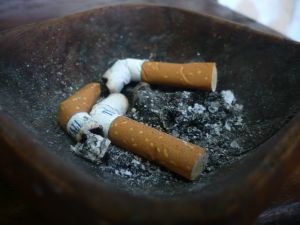 "50 milyon kişiyi yok saymaktır"