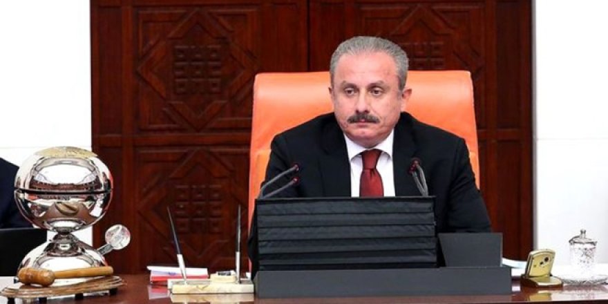 Meclis Başkanı Şentop: 50+1 sistemi doğrudur