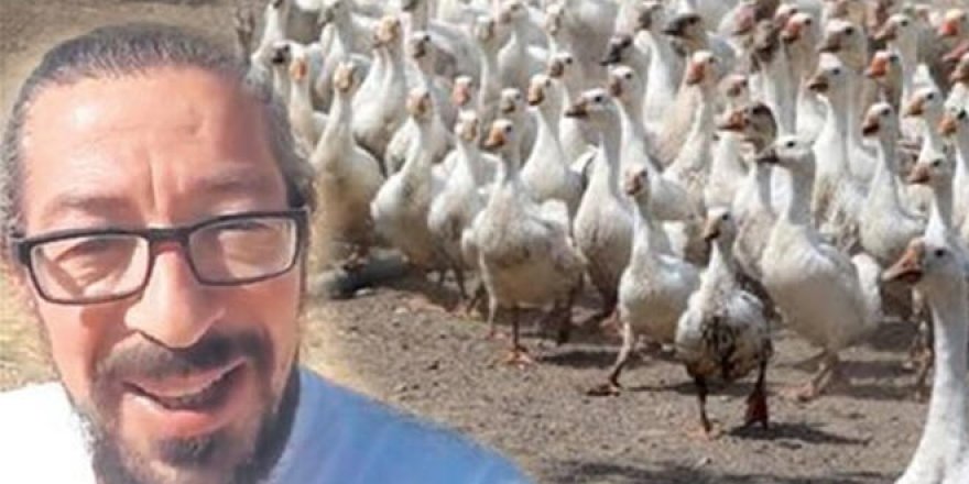 Çiftlikbank'tan sonra şimdi de 'Kazbank' dolandırıcılığı