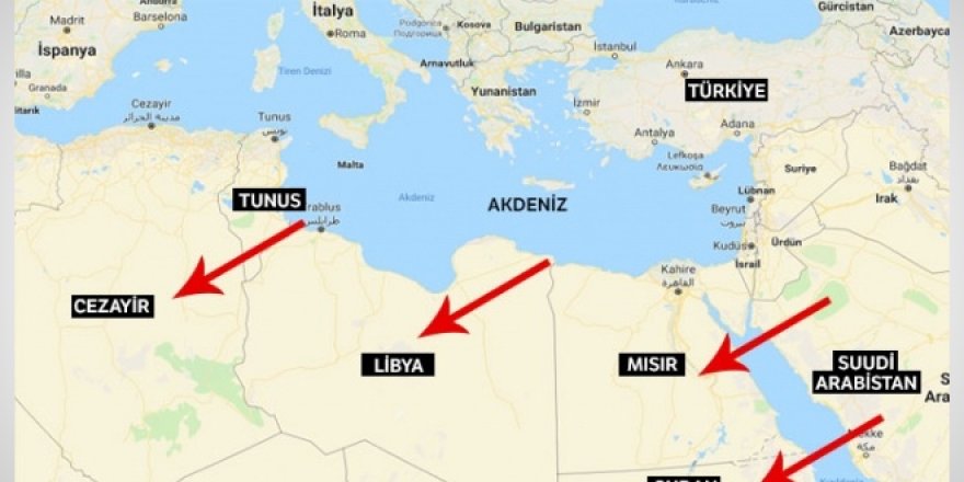 Erdoğan, sürpriz bir şekilde Tunus'a gitti