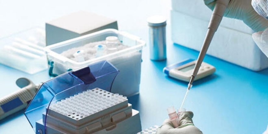 Test yapılan her 100 kişiden 8'i pozitif çıktı