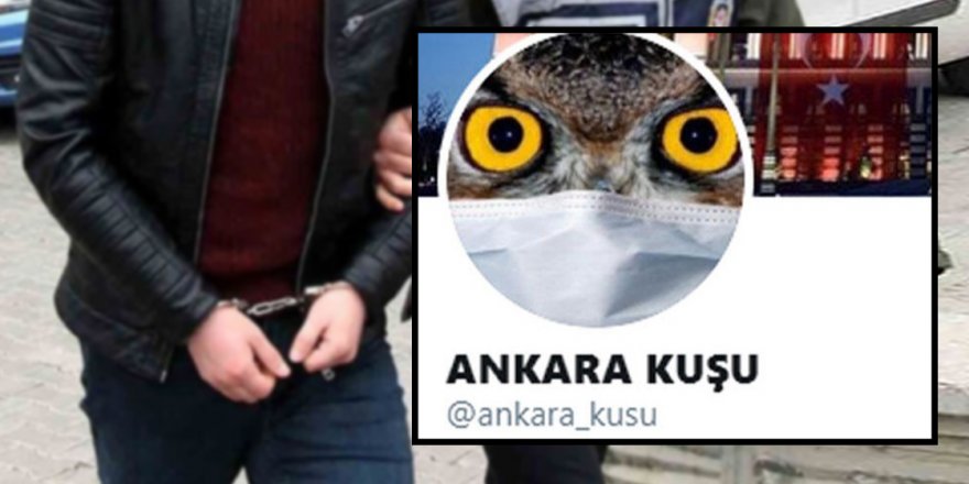 Bir Yalancı ve Mum Hikayesi: Ankara Kuşu