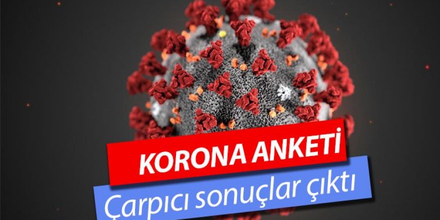 İşte koronavirüsü anketinden çıkan çarpıcı sonuçlar!