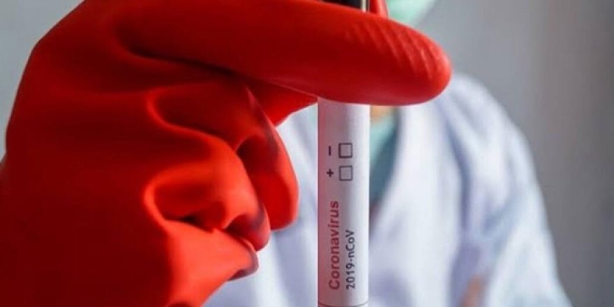 Prof. Özdarendeli: Ülkemizdeki mutasyon, 5 ülkeden farklı