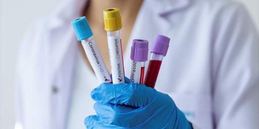 6 yeni koronavirüs türü keşfedildi