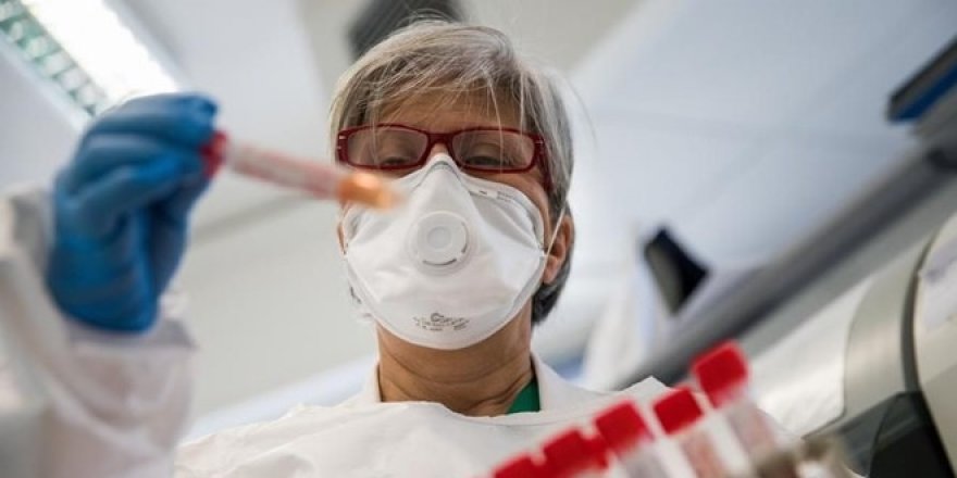 Her ile özel normalleşme: Vaka sayıları baz alınacak