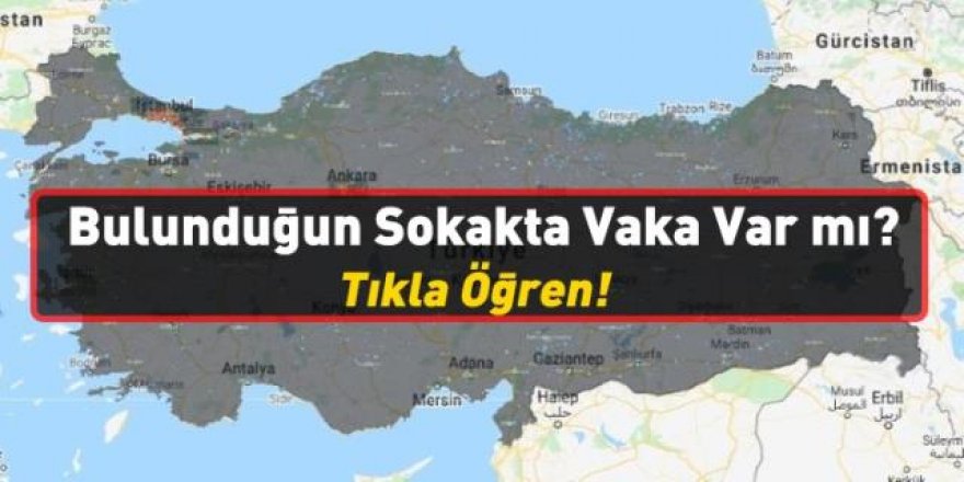 Bulunduğun sokakta vaka var mı? Tıkla-öğren