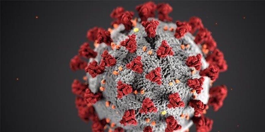 Virüs atık suda 100 gün yaşıyor