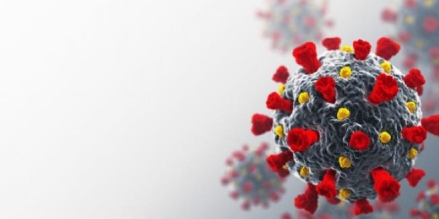 İtalyan profesör: Covid-19'da aşıya gerek olmayabilir