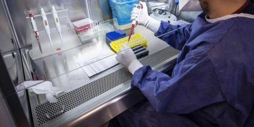 Aşı olmayan memura her hafta PCR testi
