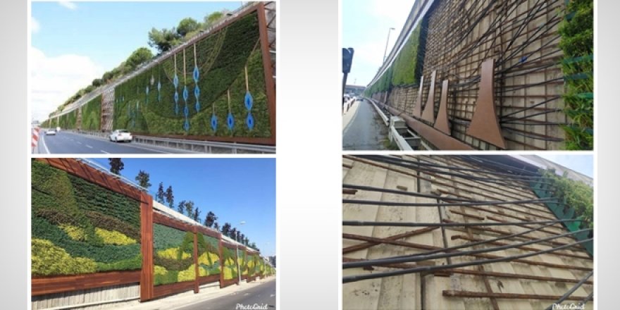 Profesör Birpınar'dan dikey yeşil peyzajları söken İBB'ye tepki