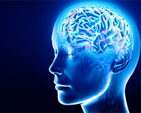 Hafızayı güçlendiren 4 gıda