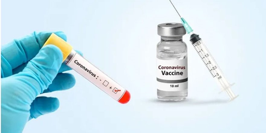 Herkes koronavirüs aşısı olmalı mı?