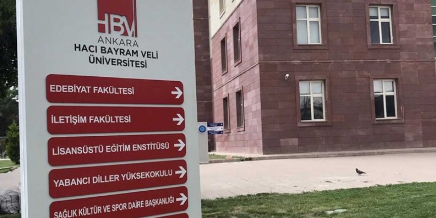 Ankara Hacı Bayram Veli Üniversitesi öğretim görevlisi alım ilanında 3 hata birden yaptı
