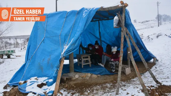 İnternet çekmeyen köyde öğrenciler, EBA için dağa çadır kurdu
