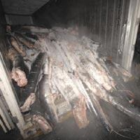 Şeytanın bile aklına gelmez