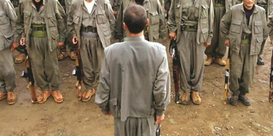 Teslim olan PKK'lılar: 2 FETÖ'cü bize askeri eğitim verdi