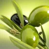 Zeytinin bilinmeyen faydaları