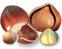 300 bin ton fındık depoda çürüyor kuruyemişçide ise kilosu 25 lira