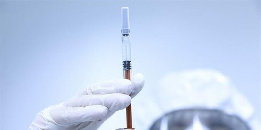 Yerli aşıda umut veren sonuç: Yüzde 100 antikor