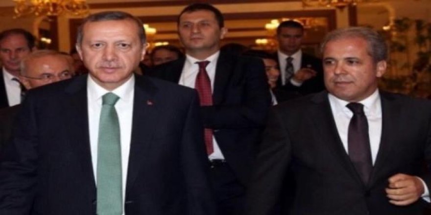 Şamil Tayyar'ın Erdoğan paylaşımı dikkat çekti!