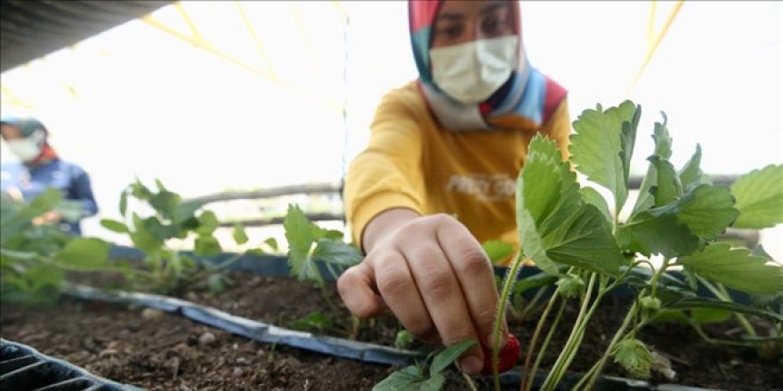 Fedakar öğretmenler 'özel öğrenciler' için toprağa dokundu