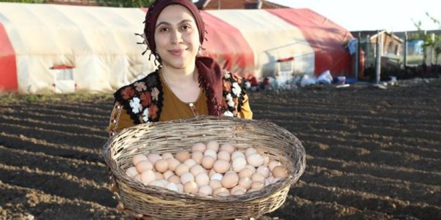 Özlem öğretmen, 1500 tavuklu çiftlik kurdu