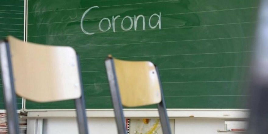 Okullarda Ayıkla Pirincin Taşını