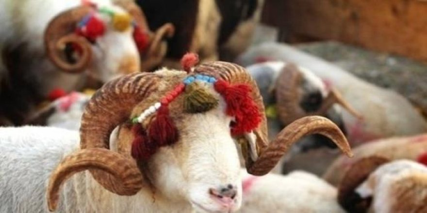 Kurban Bayramında 9 gün tatil geliyor!