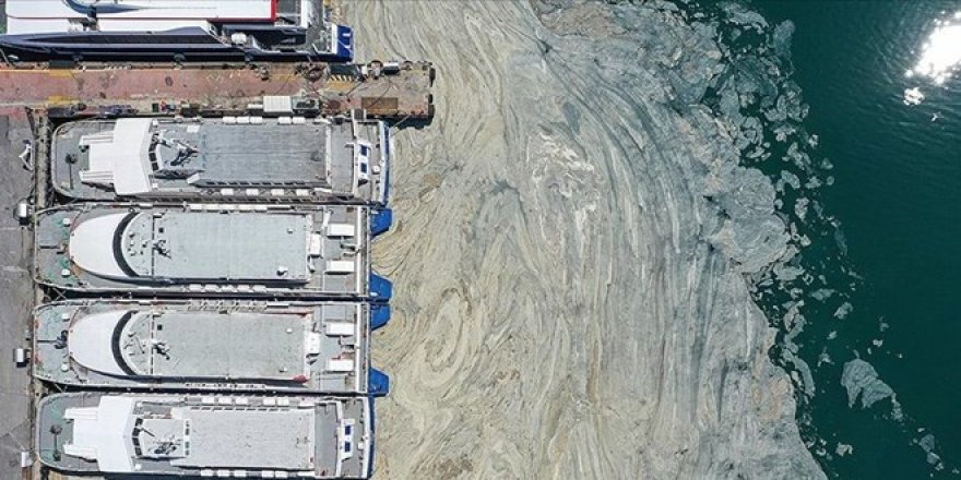 Emlakçıların karşılaştığı yeni soru: Alo müsilaj var mı?