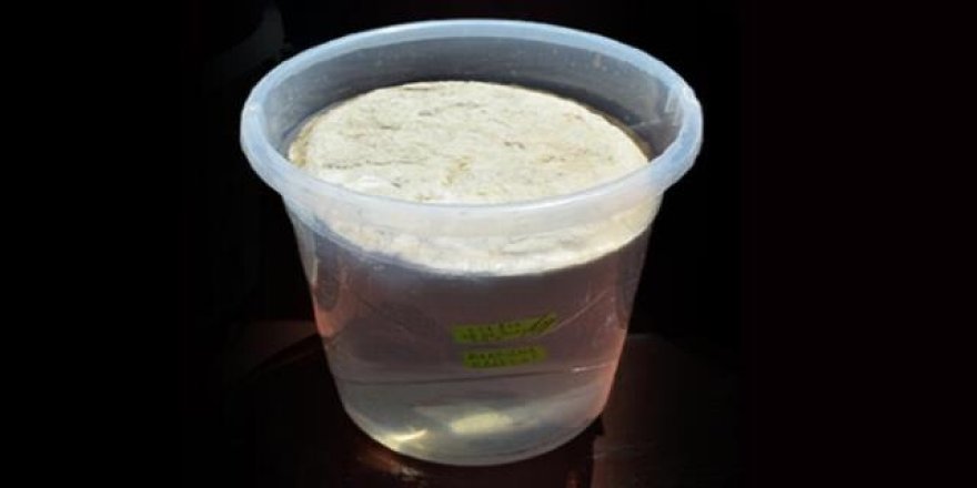 Bu bir ölüm kalım meselesi! Müsilajın röntgeni çekildi